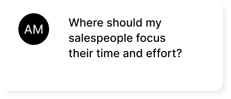 Where should my salespeople focus their time and effort?